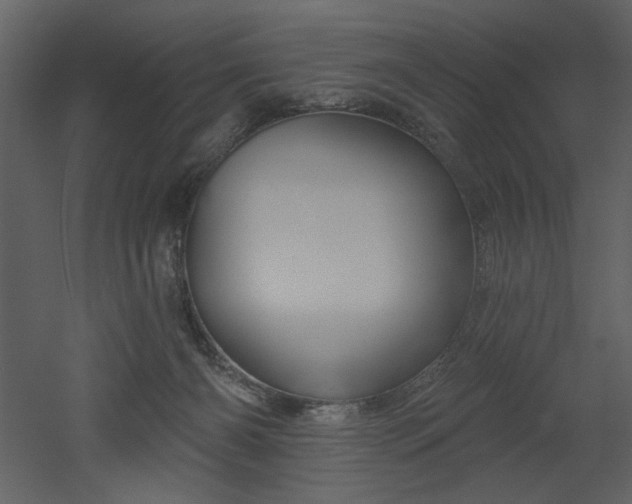X0000052980126200507081133