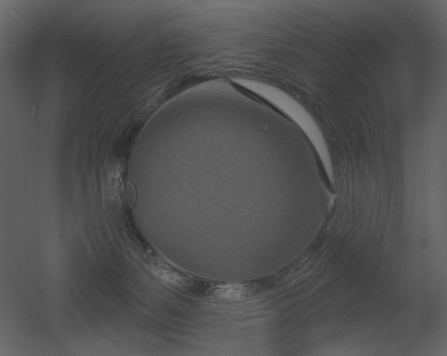 X0000052980127200507081133