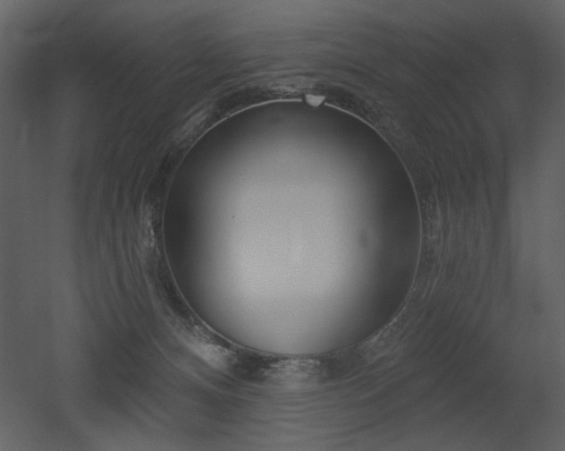X0000052980128200507081133