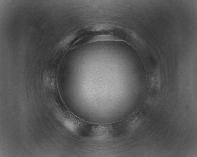 X0000052980129200507081133