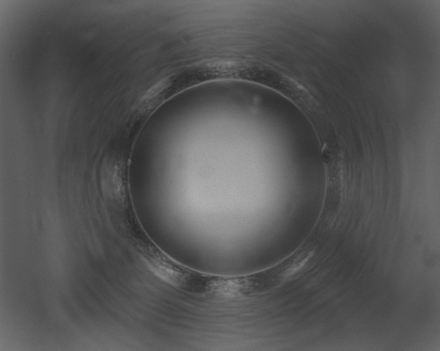 X0000052980131200507081133