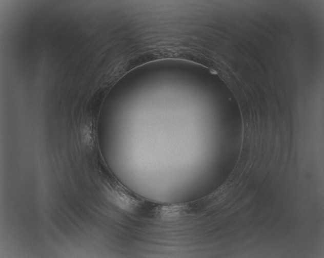 X0000052980134200507081133