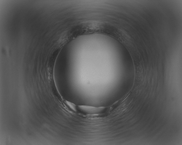 X0000052980135200507081133