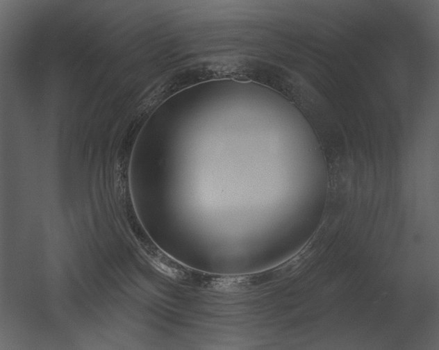 X0000052980136200507081133