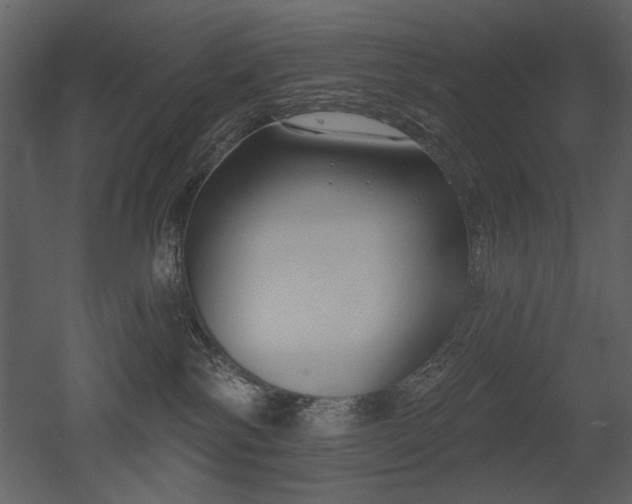 X0000052980138200507081133
