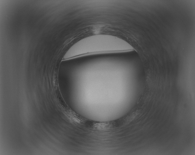 X0000052980139200507081133