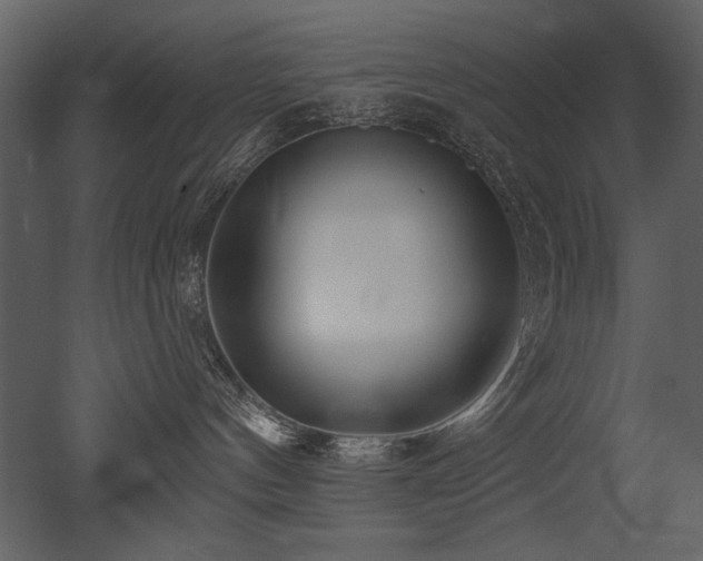 X0000052980144200507081132