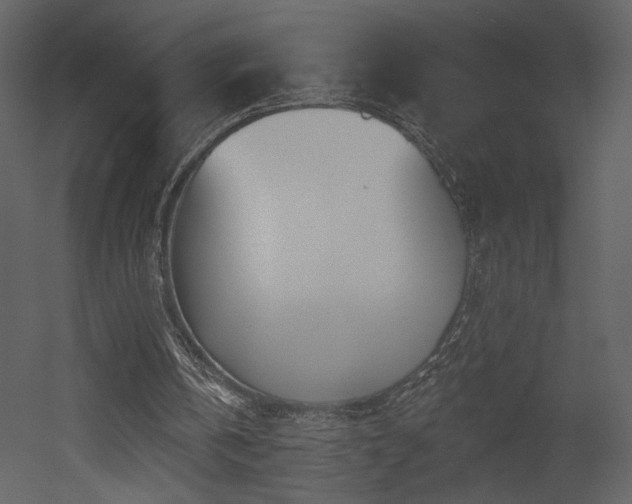 X0000052980146200507081132