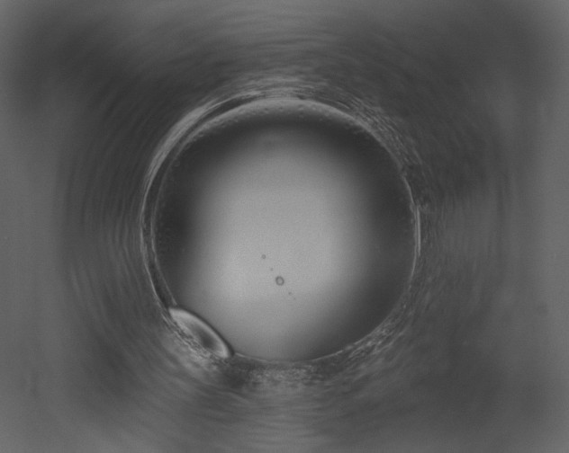 X0000052980147200507081132