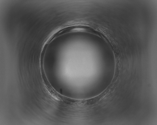 X0000052980148200507081132