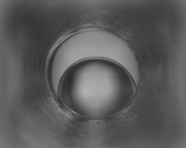 X0000052980150200507081132