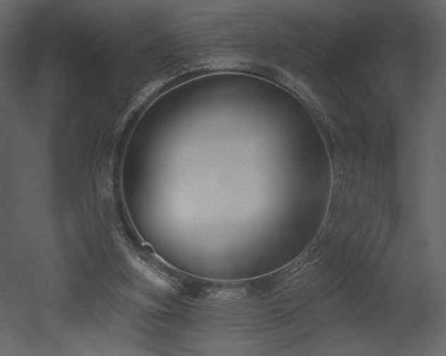 X0000052980155200507081132