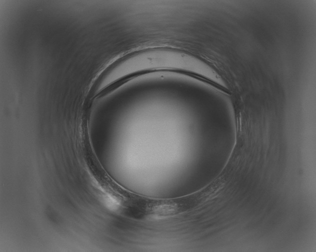 X0000052980156200507081132