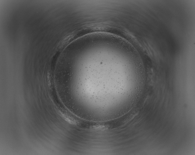 X0000052980161200507081132