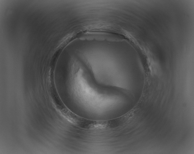 X0000052980163200507081132
