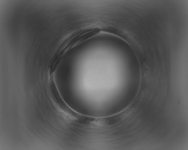 X0000052980164200507081132