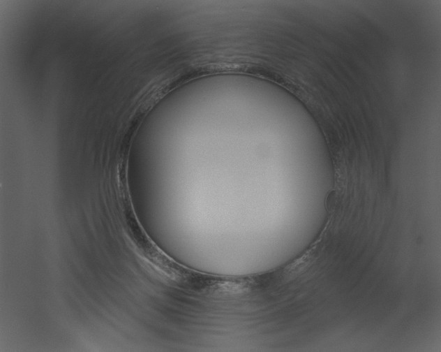 X0000052980166200507081132