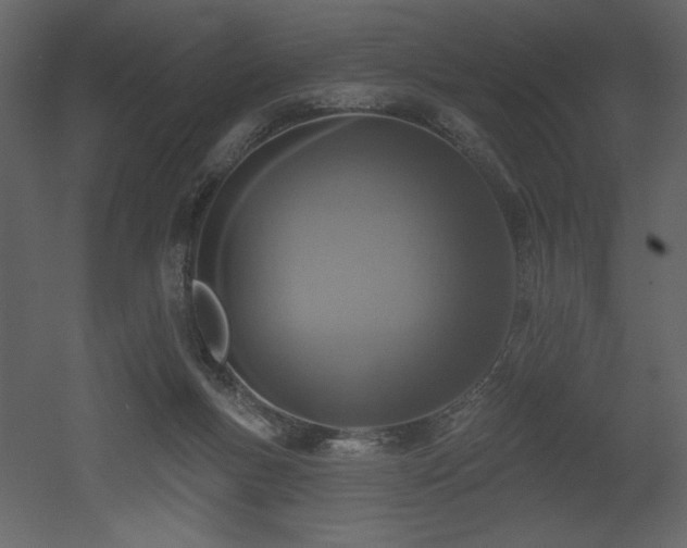 X0000052980167200507081132