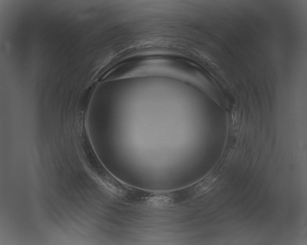 X0000052980168200507081132