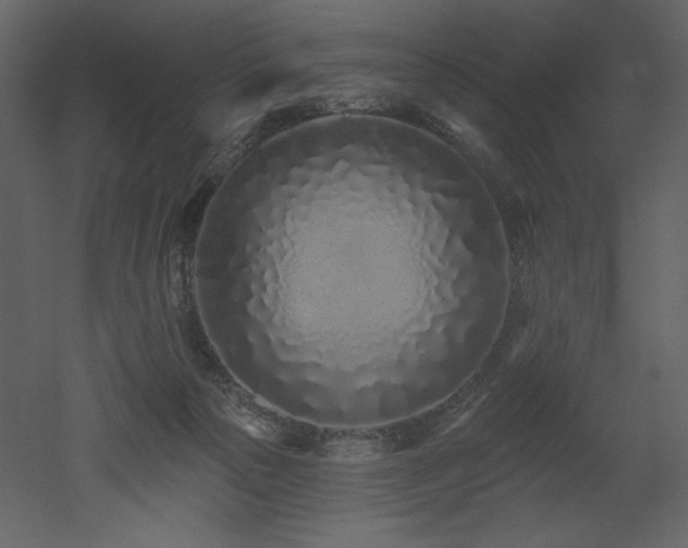 X0000052980169200507081132