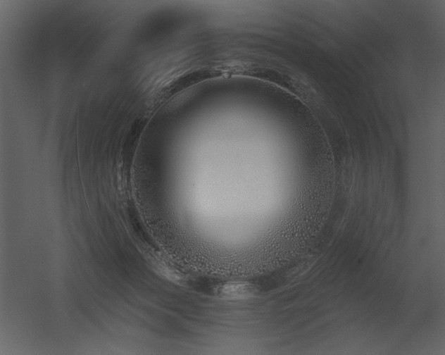 X0000052980173200507081132