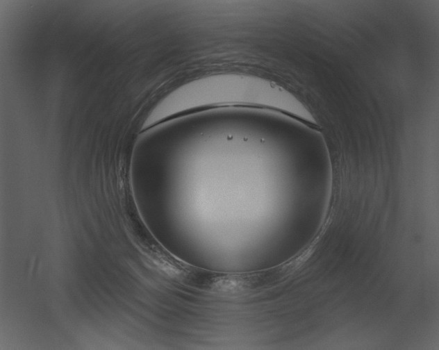 X0000052980174200507081132