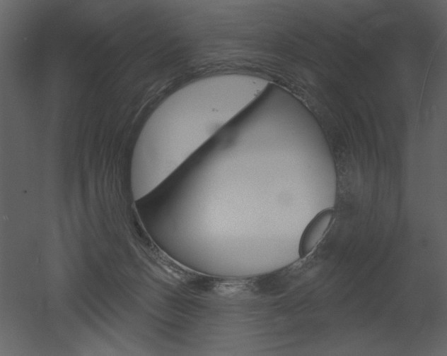 X0000052980175200507081132