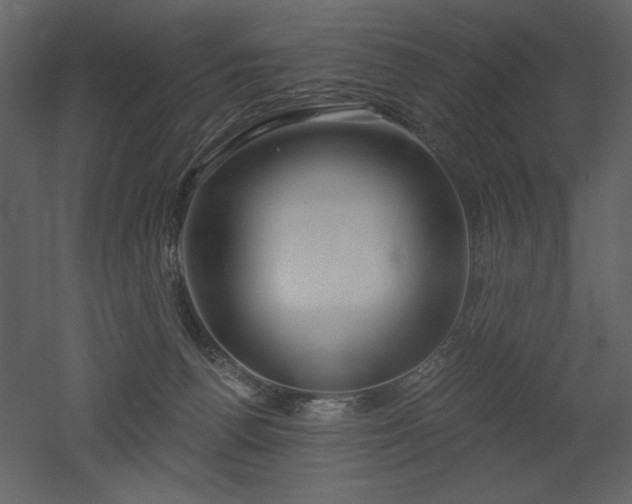X0000052980176200507081132