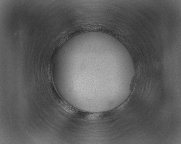 X0000052980178200507081132