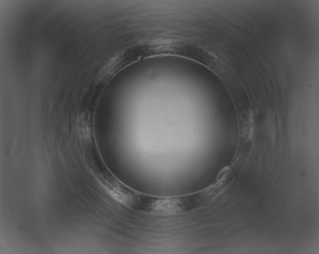 X0000052980179200507081132