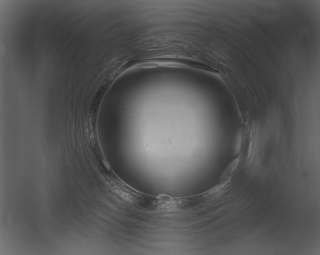 X0000052980182200507081132