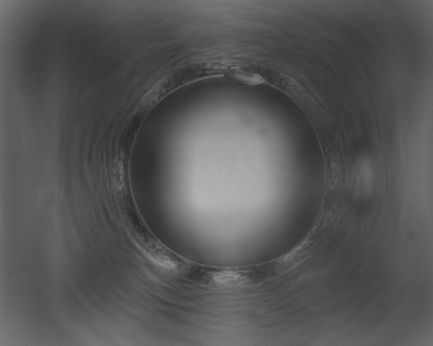 X0000052980183200507081132