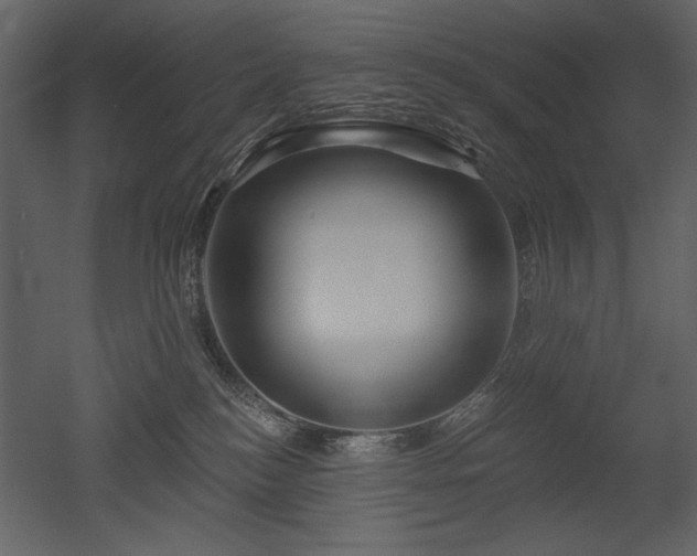 X0000052980184200507081132