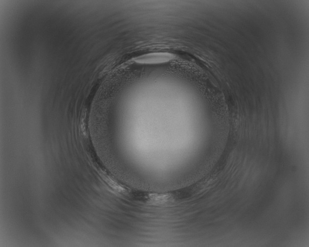 X0000052980185200507081132