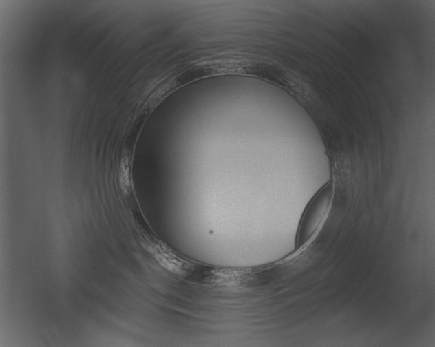 X0000052980190200507081132