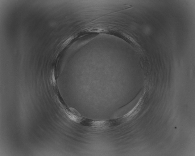 X0000052980192200507081132