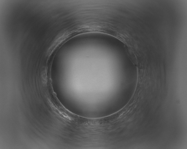 X0000052980194200507081132