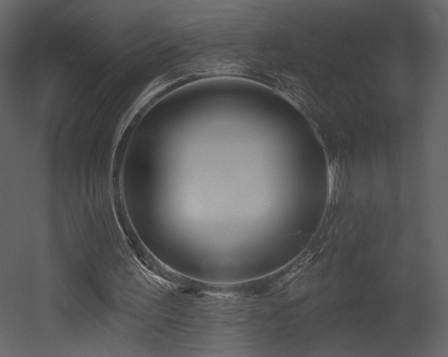 X0000052980195200507081132
