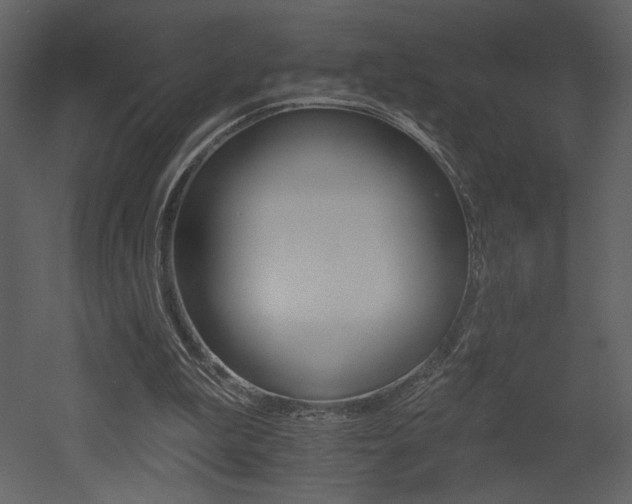 X0000052980199200507081132