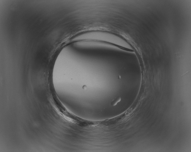 X0000052980201200507081131