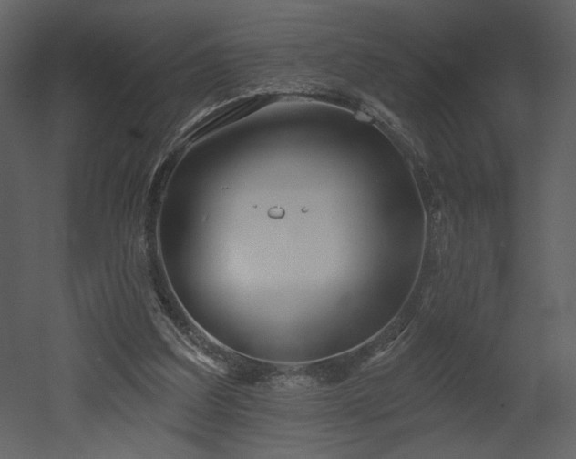 X0000052980203200507081131