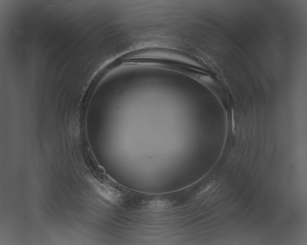 X0000052980204200507081131