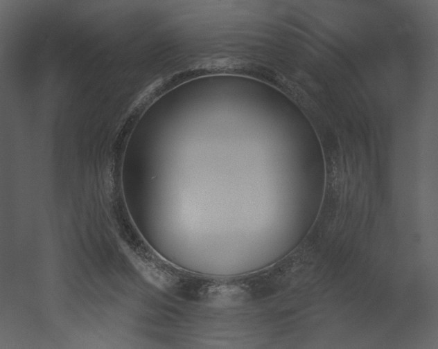 X0000052980208200507081131