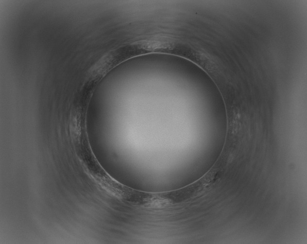 X0000052980210200507081131