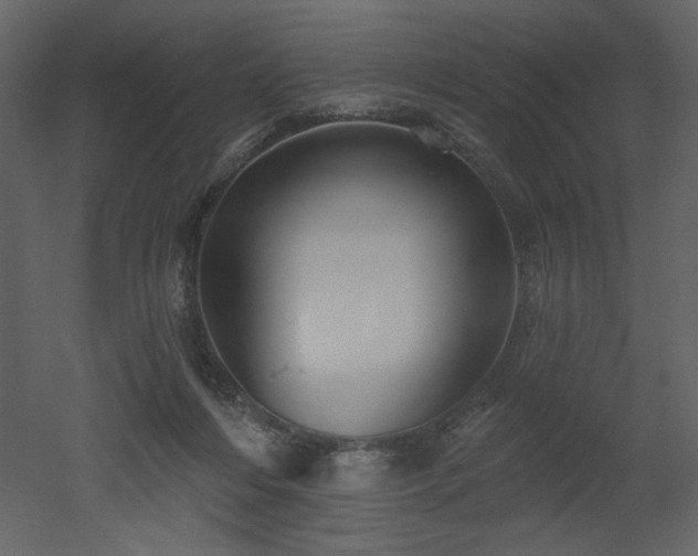 X0000052980216200507081131