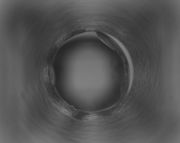 X0000052980219200507081131