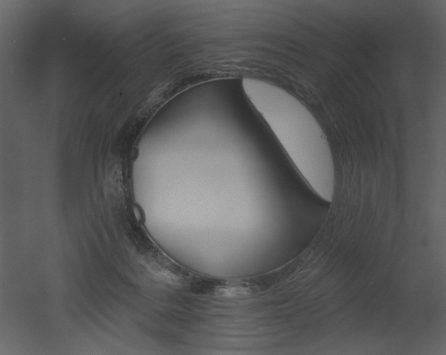 X0000052980220200507081131