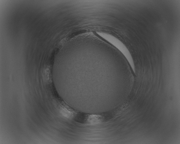 X0000052980222200507081131