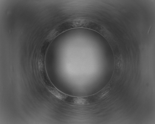 X0000052980226200507081131