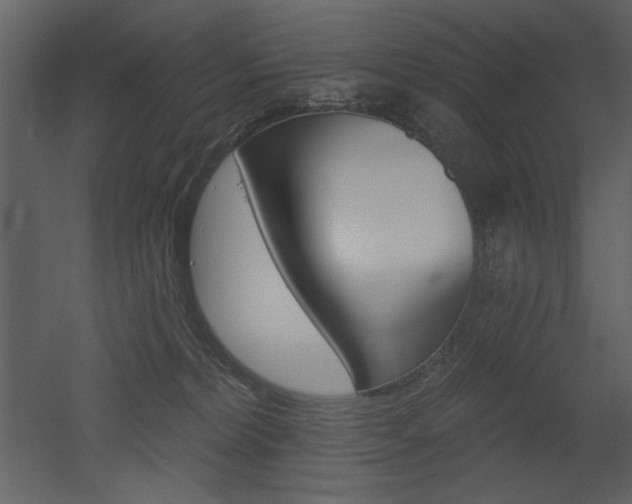 X0000052980228200507081131